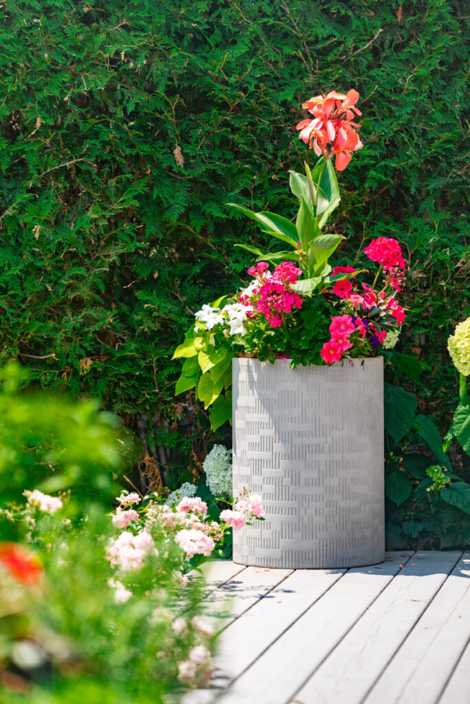 An outdoor setting with a large planter filled with colorful flowers on a wooden deck, backed by a dense green hedge under a sunny sky.