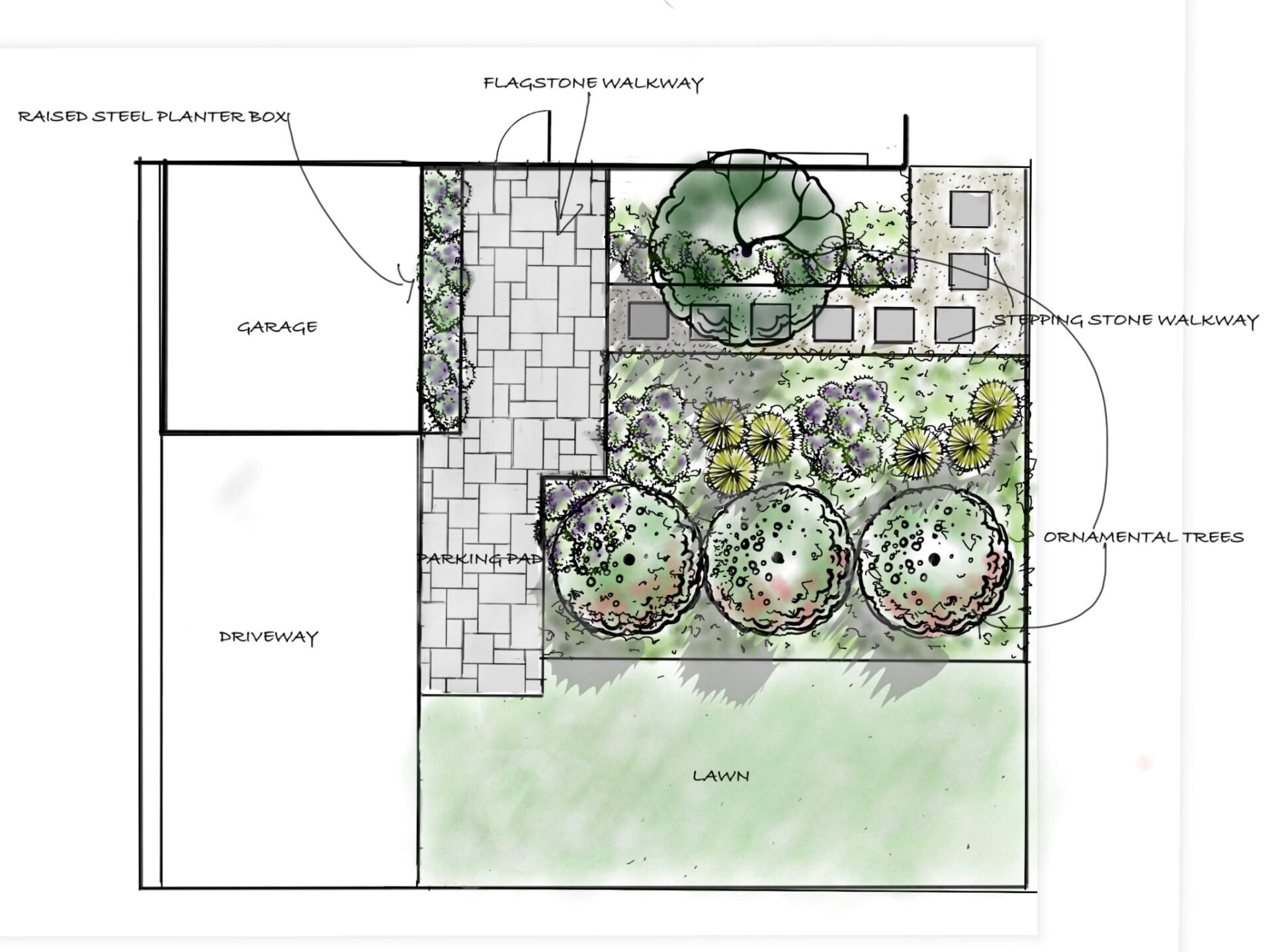 This image is a colorful landscape design sketch featuring labeled elements like a garage, driveway, lawn, flagstone walkway, and ornamental trees.