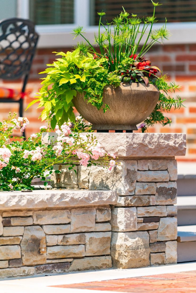 A decorative potted plant with varying green foliage sits atop a stone wall, beside pink flowers, with a brick building and metal chair background.