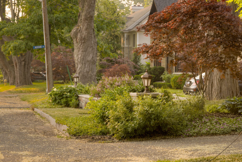 A tranquil residential street with lush greenery, a gravel path, and a warm, soft glow likely from an early morning or late afternoon sun.