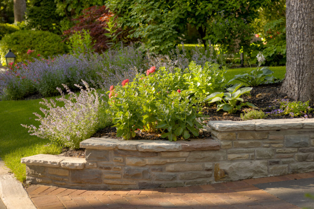 This image shows a well-manicured garden bed with flowering plants and greenery, bordered by a stone retaining wall, nestled beside a mature tree.