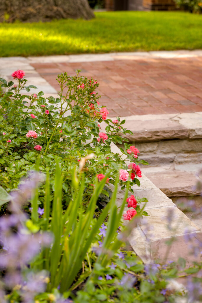 This image shows a tranquil garden with blooming pink roses, lush greenery, a stone pathway, and a neatly trimmed lawn in the background.