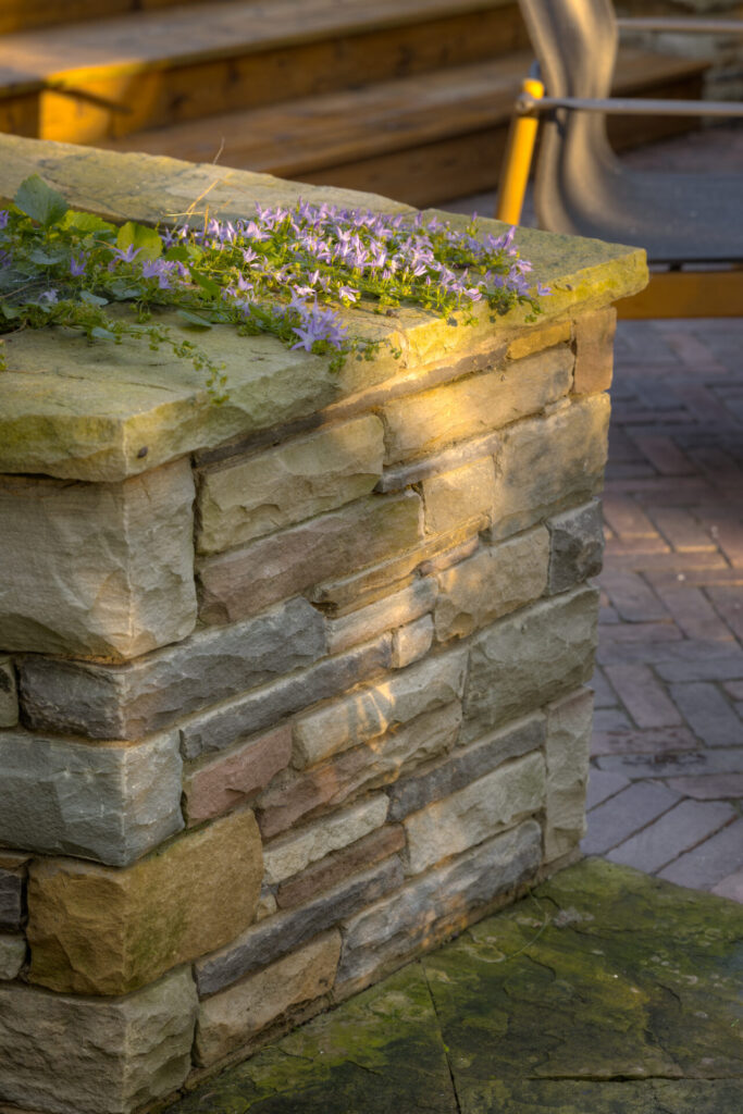 A stone wall corner with flowering plants on the ledge, bathed in sunlight, with the edge of a wooden bench and paved ground visible.