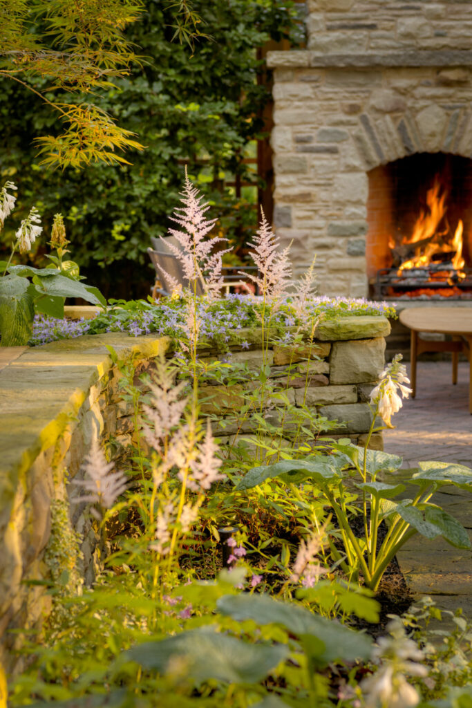 An outdoor garden with a stone fireplace alight, stone walls, blooming purple flowers, greenery, and wooden furniture in warm sunlight ambiance.