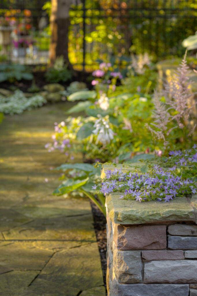 A tranquil garden path lined with stacked stone and topped with delicate purple flowers, amidst lush greenery, in soft, warm light.