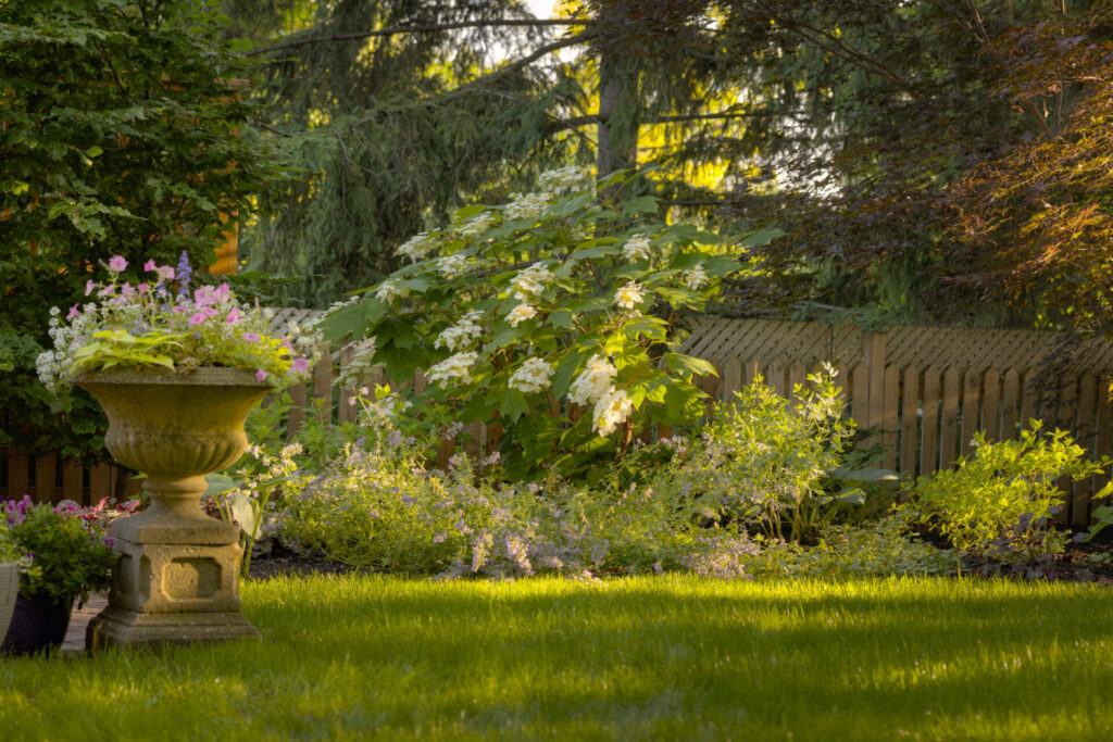 A serene garden with a classical urn planter, lush green lawn, flowering plants, shrubs, and a wooden fence in soft, warm sunlight.